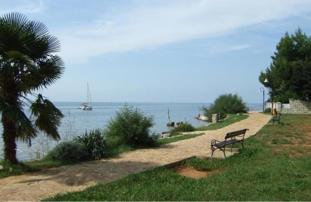 Apartment Villa Angelina, 70M From The Beach, Free Parking Novigrad  Exterior photo