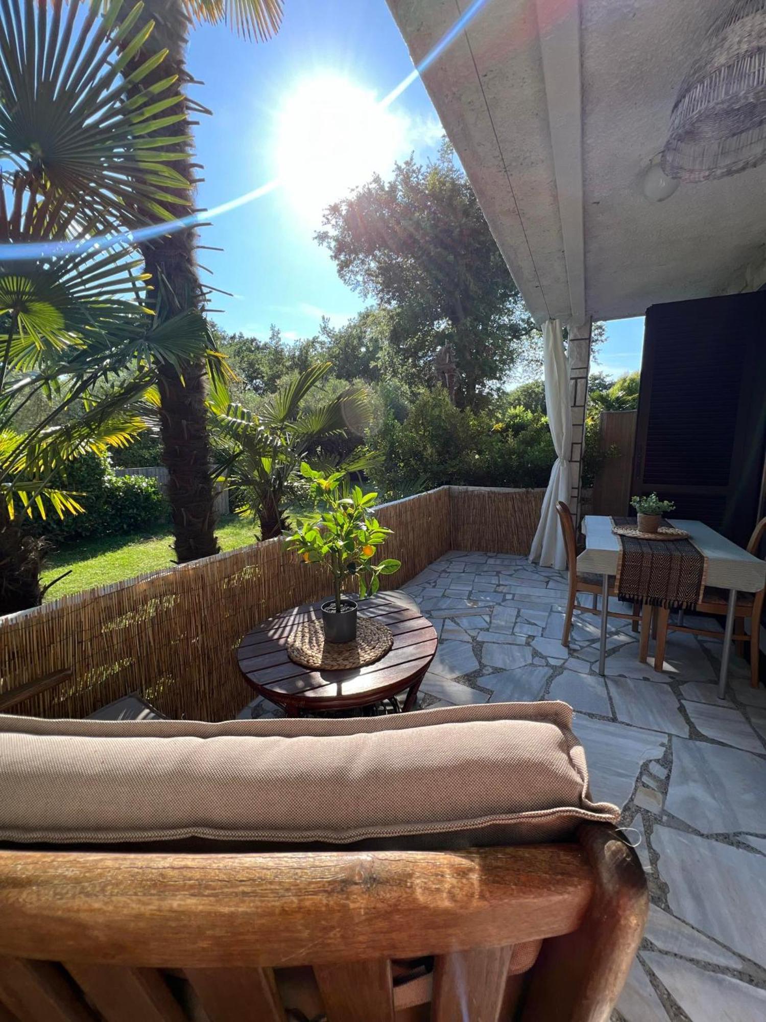 Apartment Villa Angelina, 70M From The Beach, Free Parking Novigrad  Exterior photo